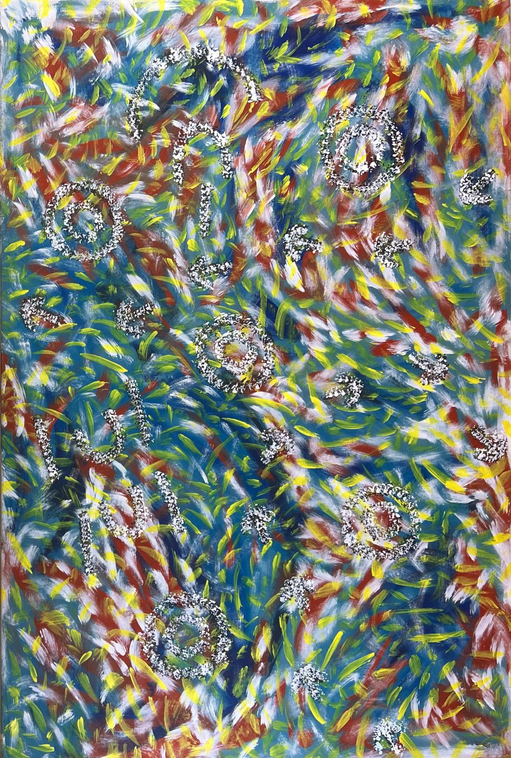 Aboriginal Painting by Jean Nampitjinpa, Fire Dreaming, Acrylic on Linen