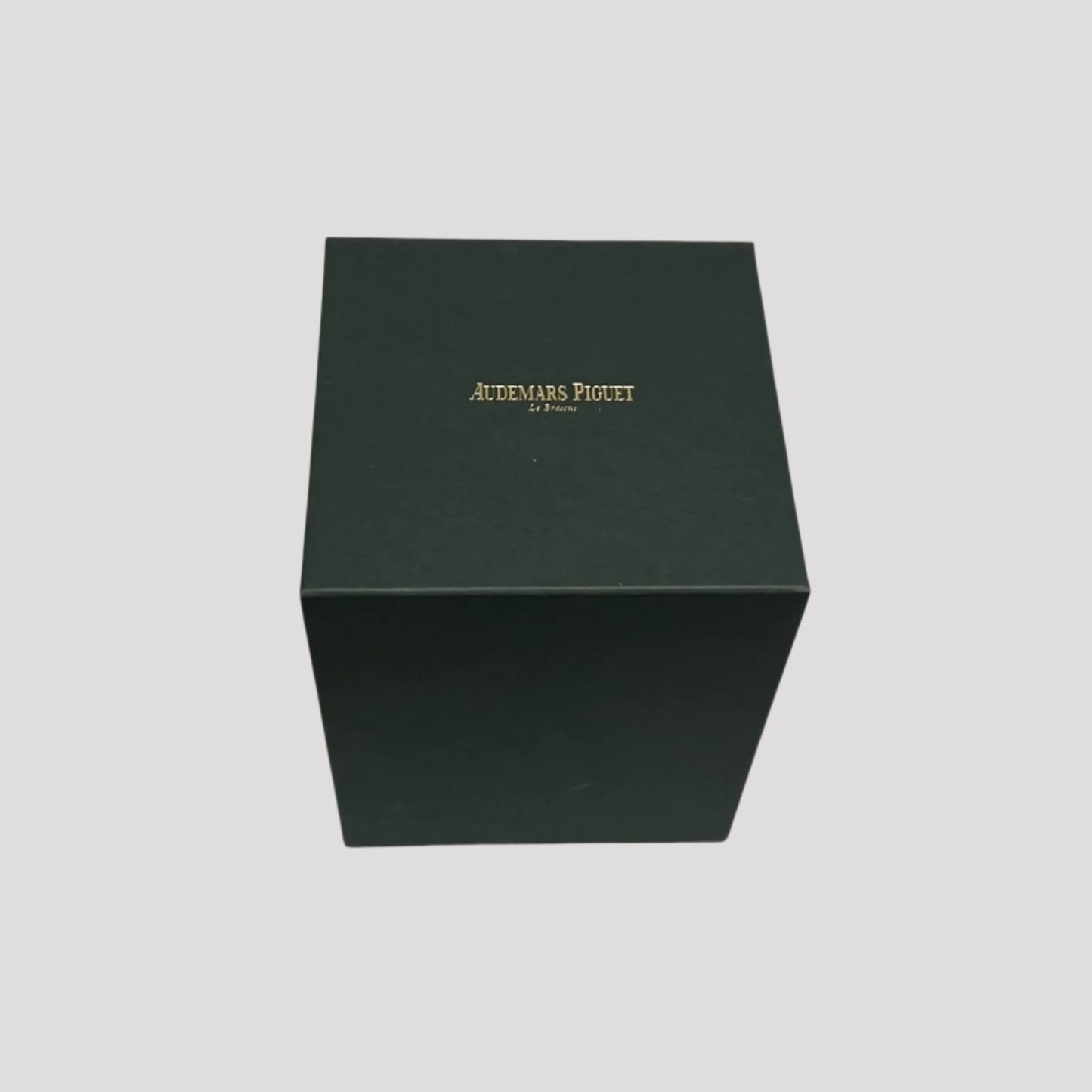 Audemars Piguet New Handmade Artwork Ornament Glass Globe by Charlotte Bourrus Rare