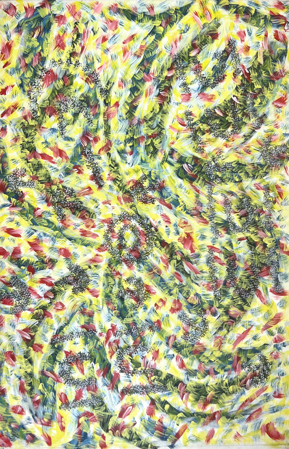 Aboriginal Painting by Jean Nampitjinpa, Fire Dreaming, Acrylic on Linen