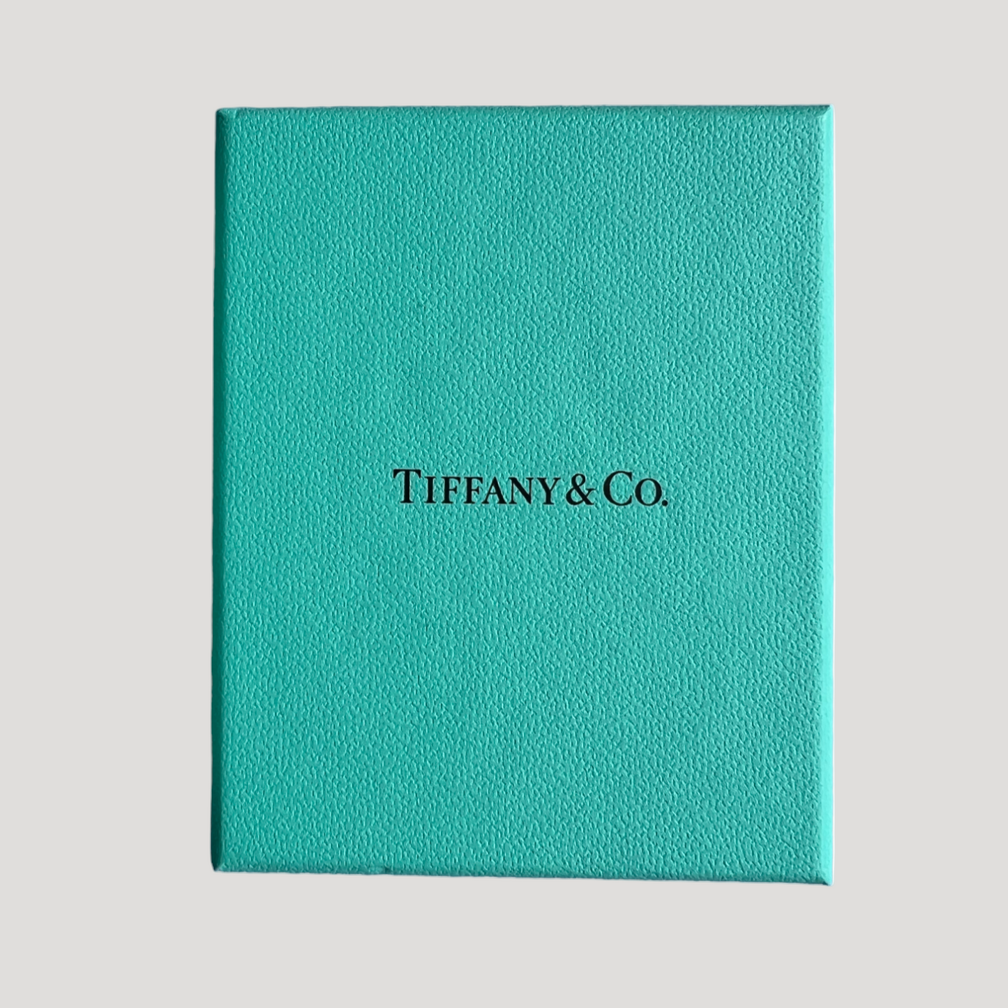 Tiffany pouch case