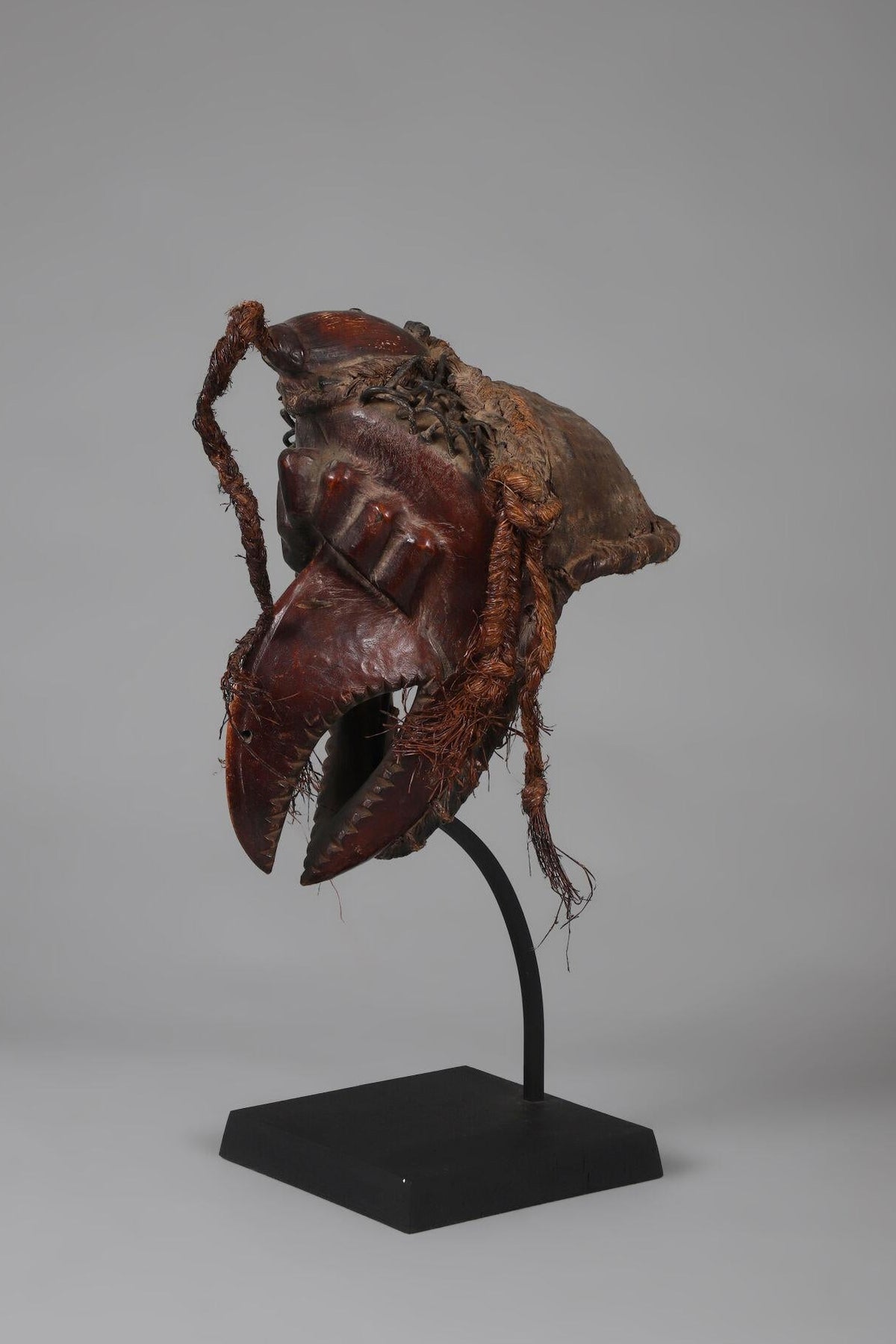 Bird mask with a powerful beak - Ékoi, Cross River region, Nigeria, second half of the 20th century
