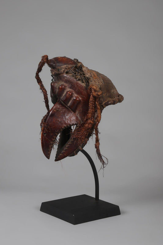 Bird mask with a powerful beak - Ékoi, Cross River region, Nigeria, second half of the 20th century