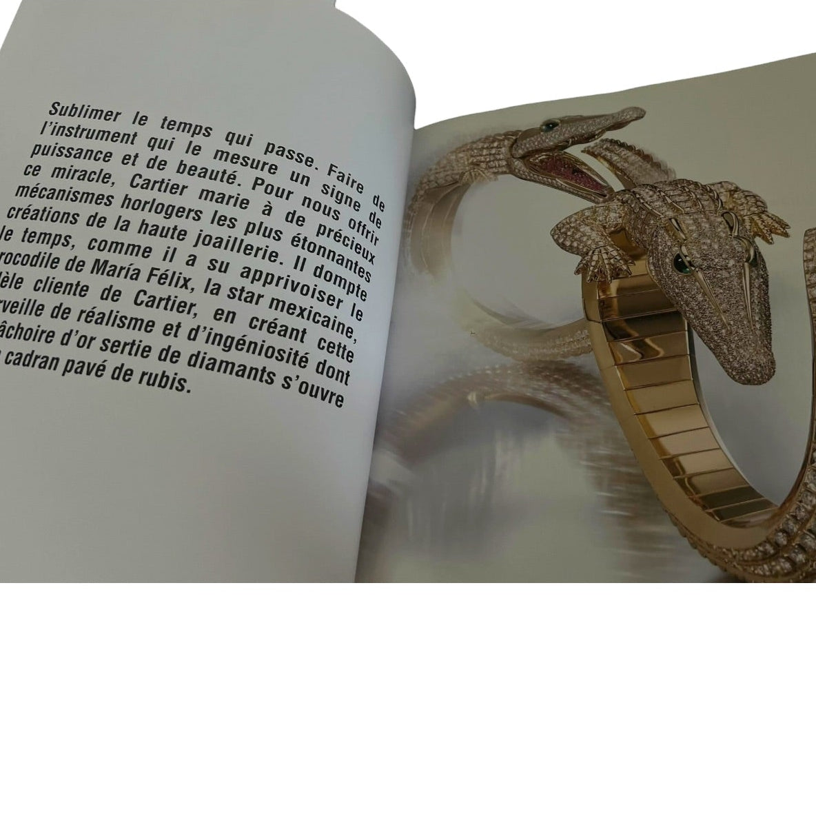 Cartier Iconic Wristwatches Catalogue Book / Livre