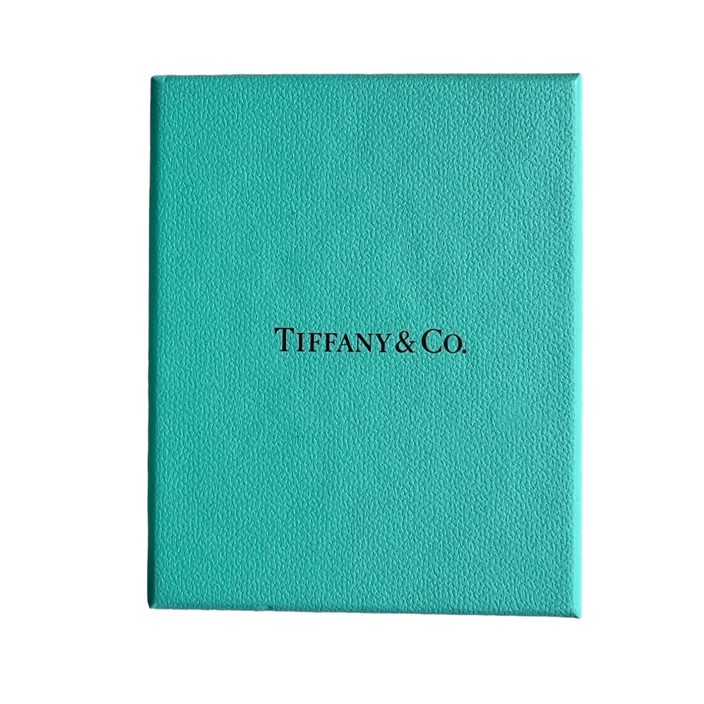 Tiffany & Co New Travel Pouch / Etui with its outer protective box