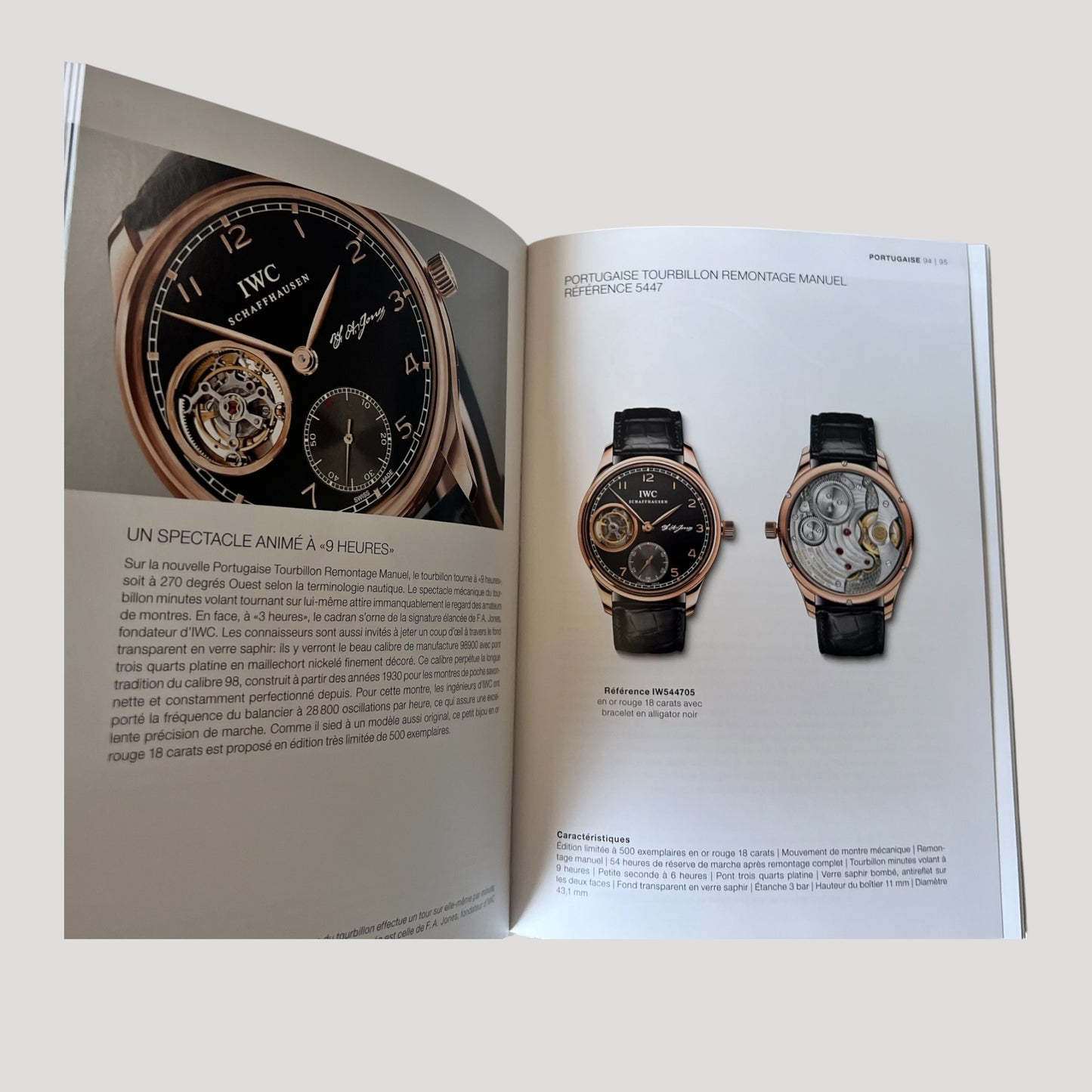 IWC Book / Livre / Buch with Price List 2010