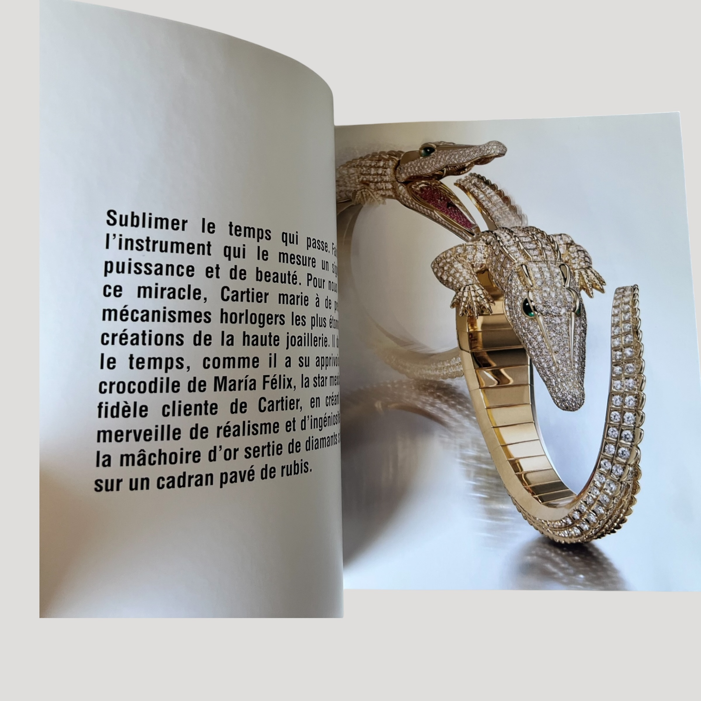 Cartier Iconic Wristwatches Catalogue Book / Livre with Price List